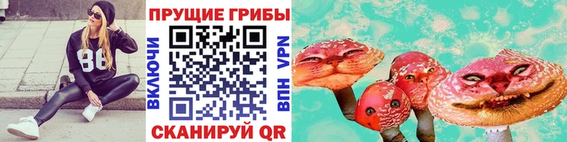 Галлюциногенные грибы Magic Shrooms  Чернушка 